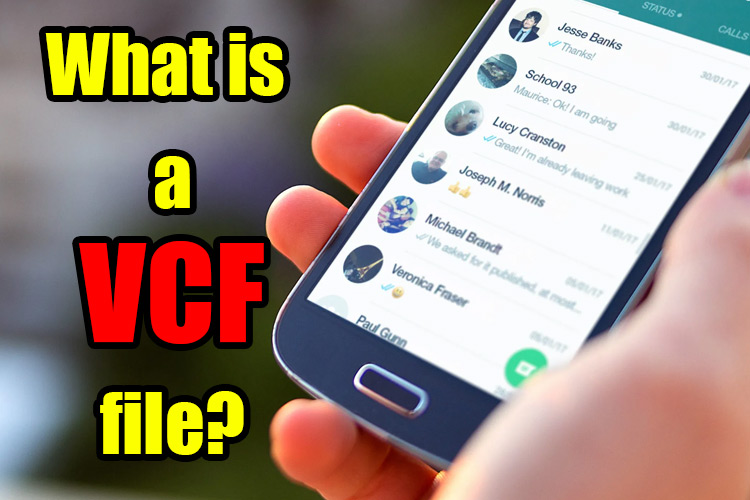 What is a vcf file ?
